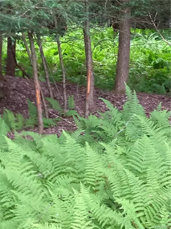 Port Jervis, NY 12771,Logtown RD