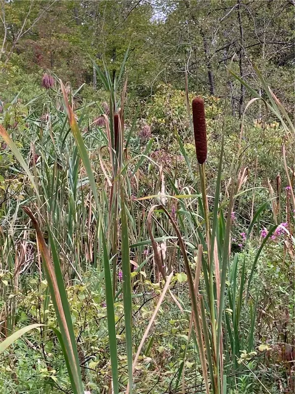 Port Jervis, NY 12771,Logtown RD