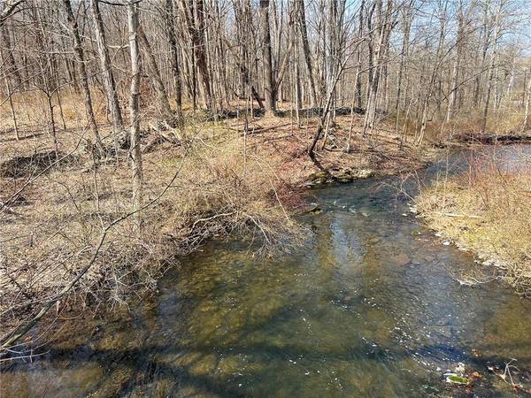 Rhinebeck, NY 12572,79-85 Miller RD