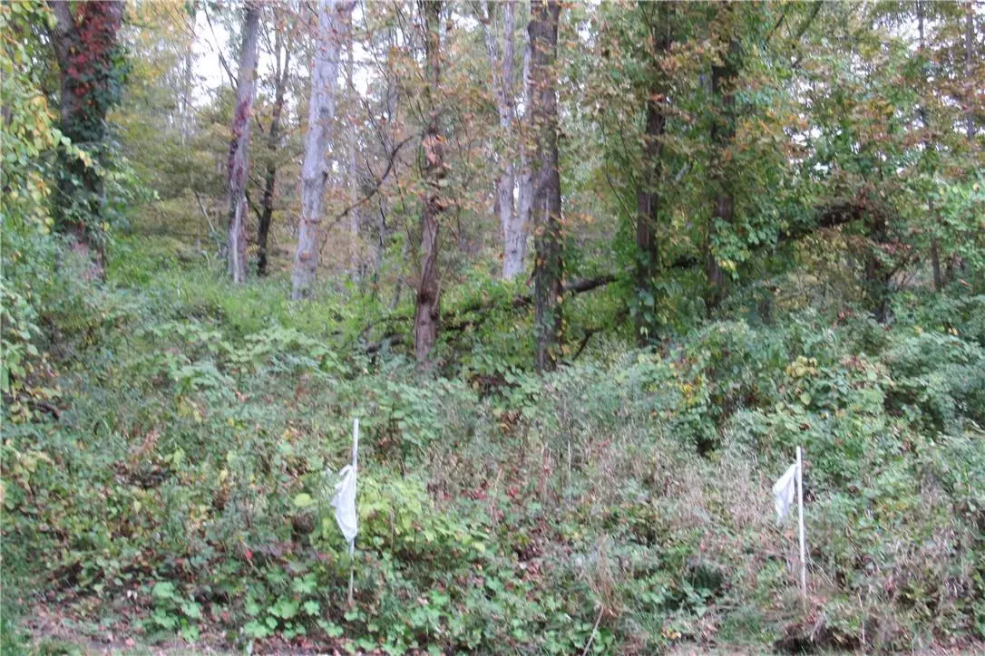 Poughquag, NY 12570,287 Pleasant Ridge RD