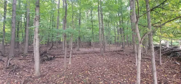 New Windsor, NY 12553,Lot 7 Bethlehem RD