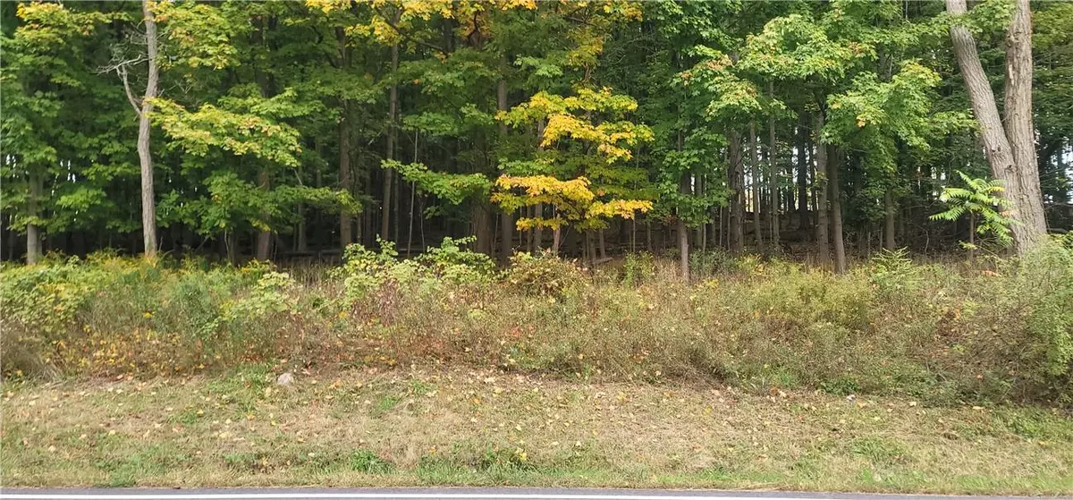 New Windsor, NY 12553,Lot 7 Bethlehem RD