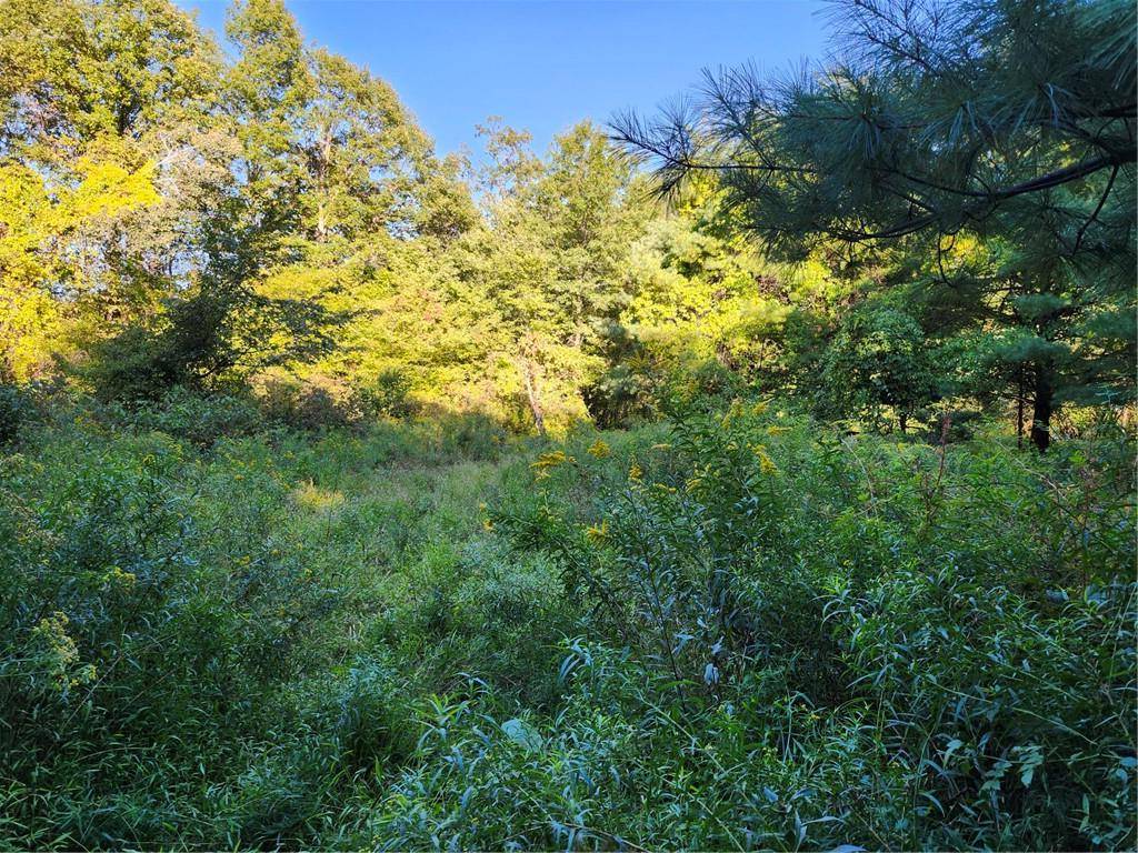 Saugerties, NY 12477,188 Old Stage RD