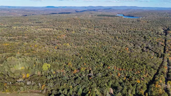 Elizaville, NY 12523,177 Benton RD