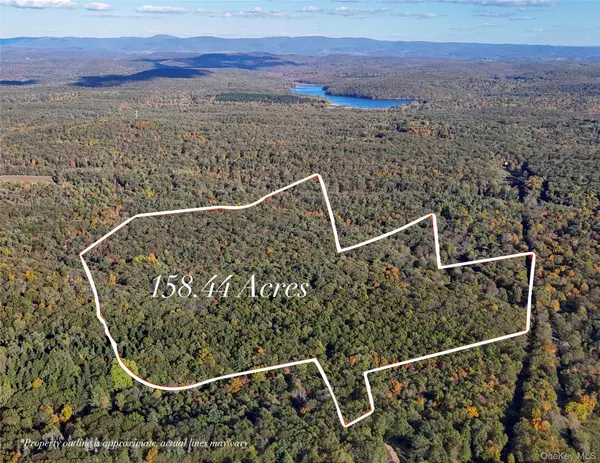 177 Benton RD, Elizaville, NY 12523