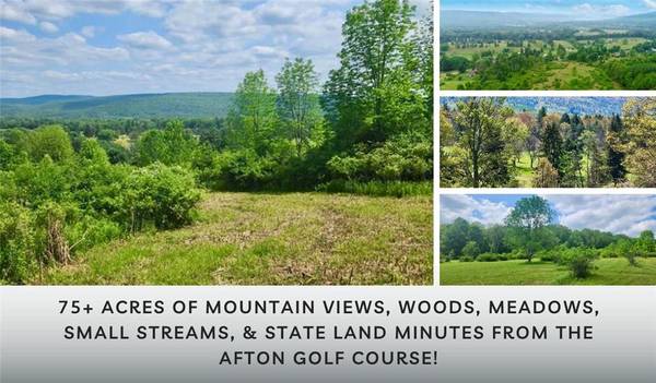 Lot 30 Algerine ST, Call Listing Agent, NY 13730