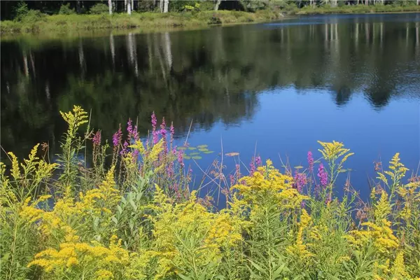 Swan Lake, NY 12783,17 Gold Dan #56C