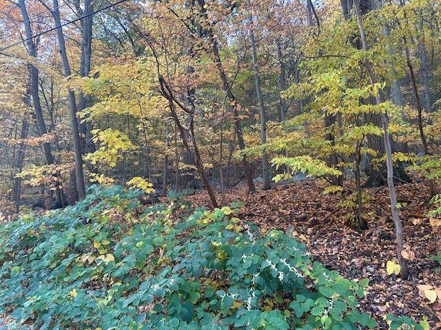 Hillburn, NY 10953,167/171 Route 17S