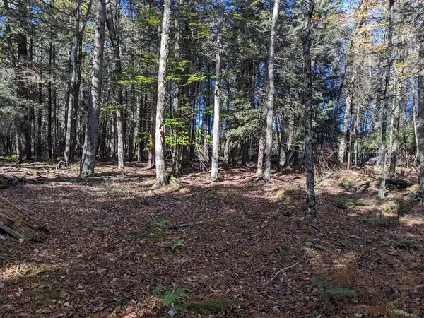 Bethel, NY 12786,Moscoe RD