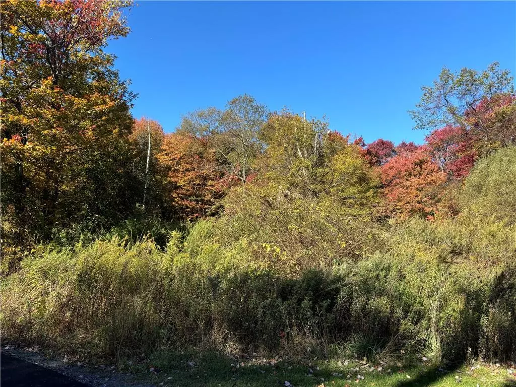 Monroe, NY 10950,W Mombasha RD