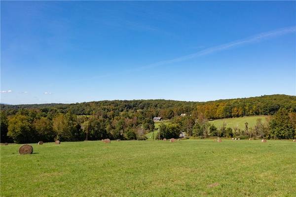 Ancram, NY 12502,0 Hill Top RD