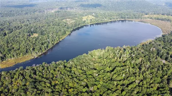 Elko Lake Lot 54 RD, Parksville, NY 12768