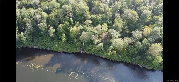 Parksville, NY 12768,Elko Lake Lot 54 RD