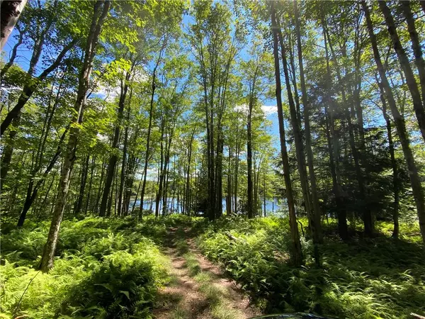 Parksville, NY 12768,Elko Lake Lot 54 RD