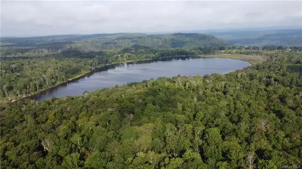 Parksville, NY 12768,Elko Lake Lot 54 RD