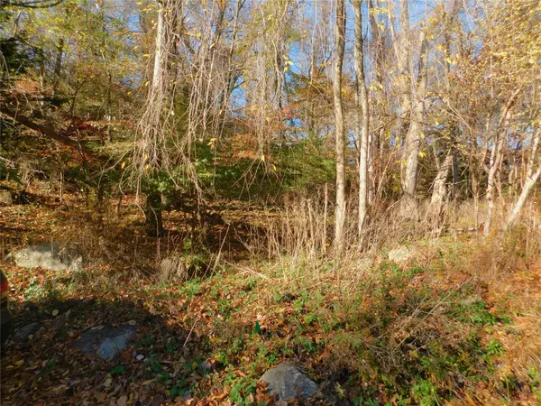 Lake Peekskill, NY 10537,Lot 25 Enloe ST