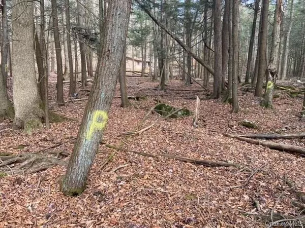 Smallwood, NY 12778,Glenwild DR