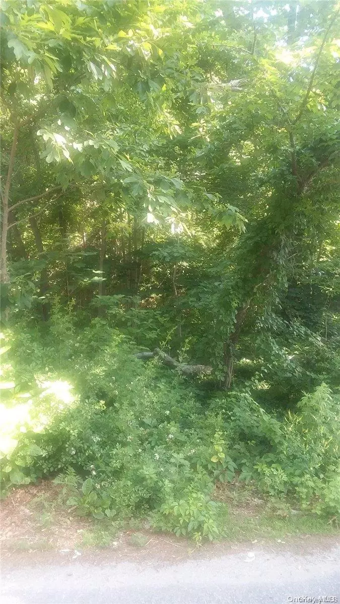 Coram, NY 11727,VL Beach LN