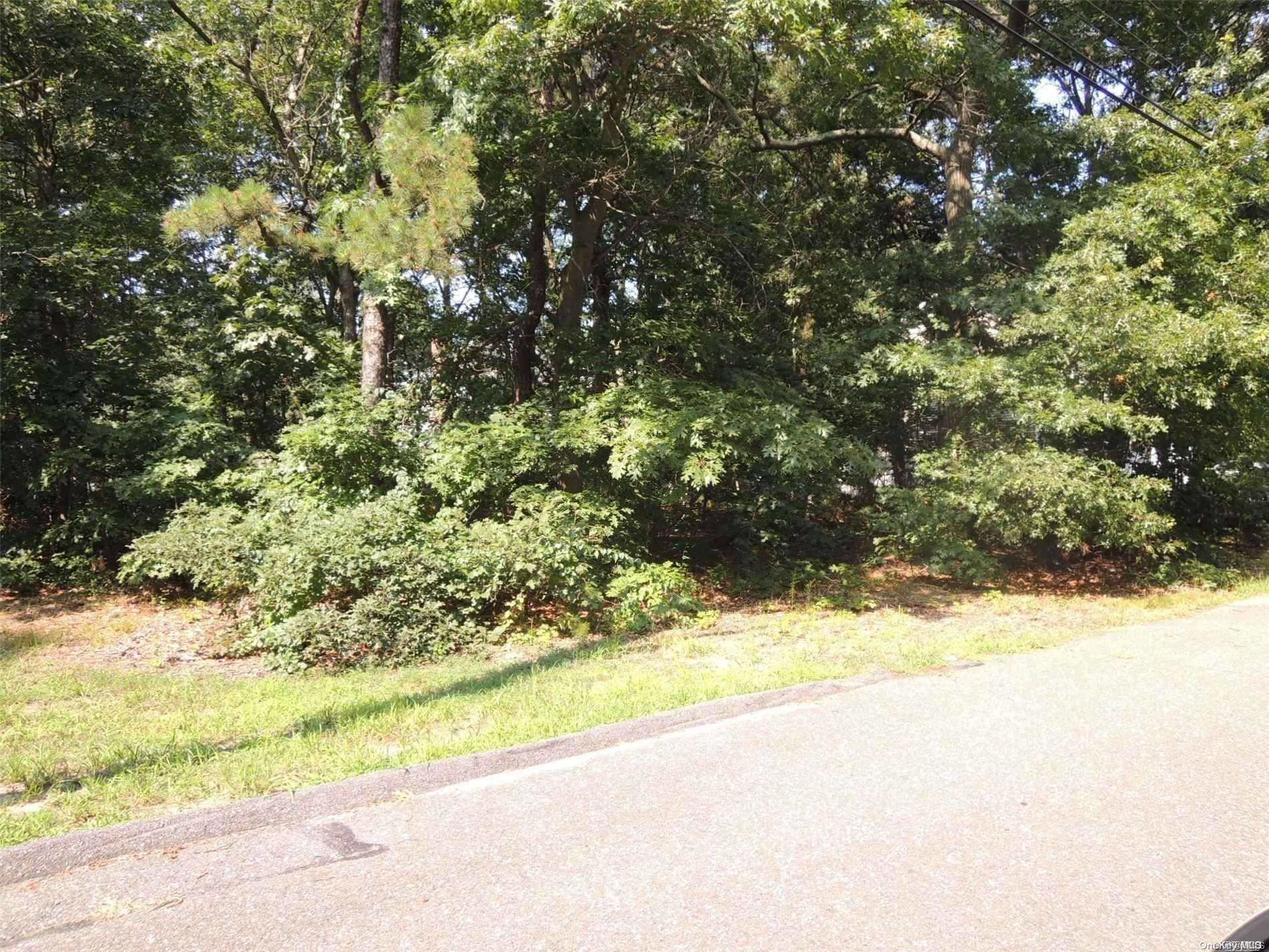 13 Booth ST, Centereach, NY 11720