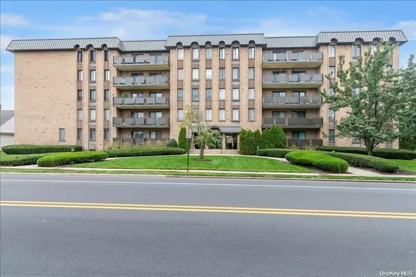 Westbury, NY 11590,175 Maple AVE #4-D