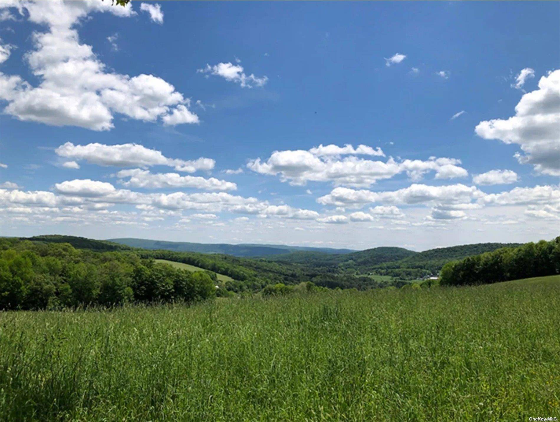 00 Nersesian RD, Out Of Area Town, NY 13348