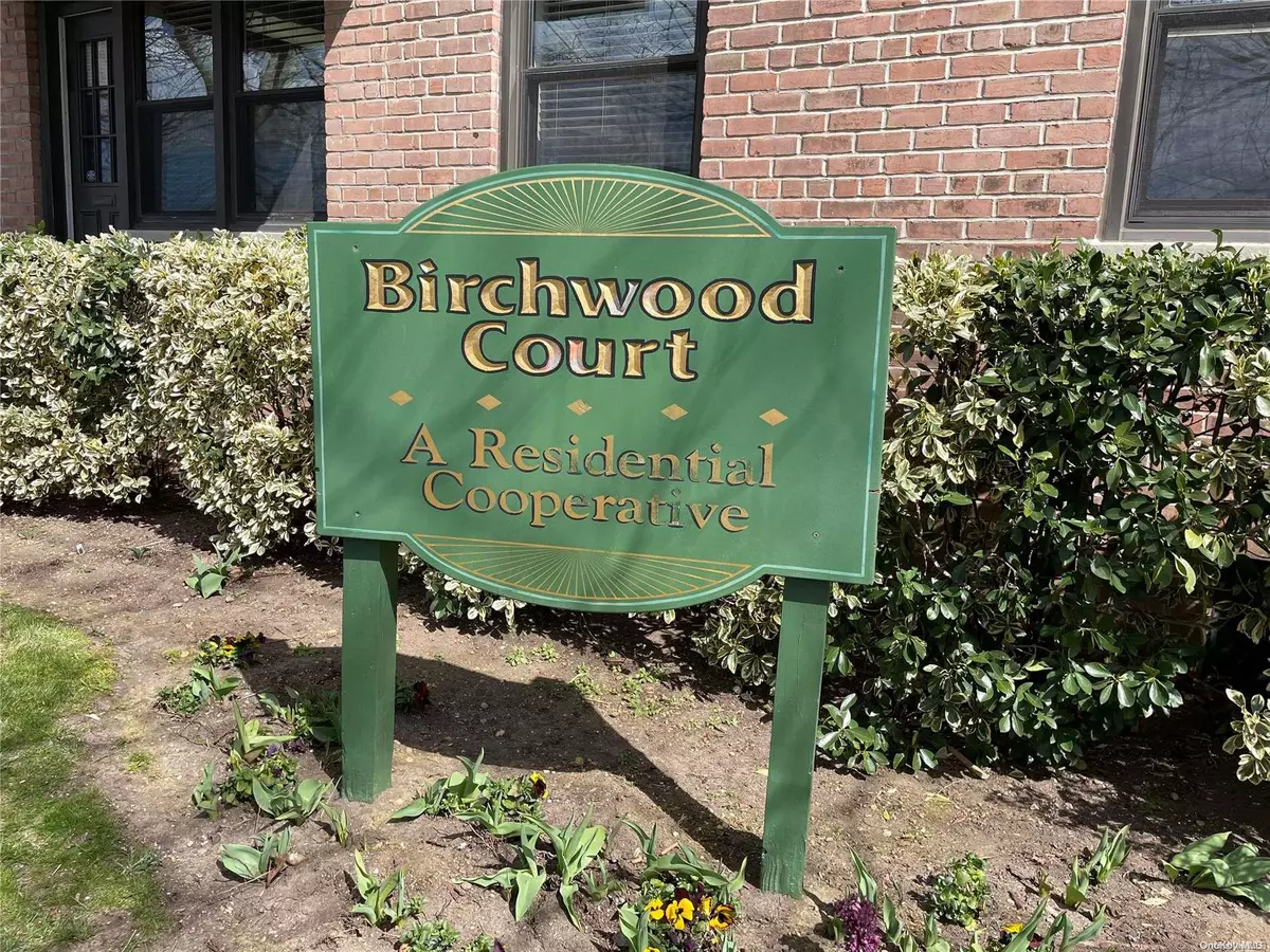 Mineola, NY 11501,1 Birchwood #5B