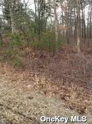 Middle Island, NY 11953,Middle Country RD
