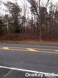 Middle Island, NY 11953,Middle Country RD