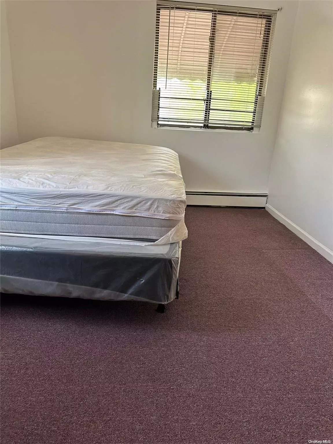 Saint Albans, NY 11412,191 Linden Blvd. ST #Room