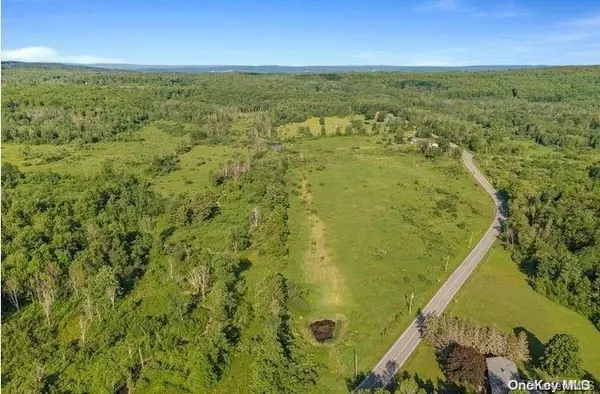 Other, NY 12053,L8. 111 Churches Rd Ridges