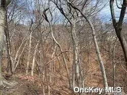 Lot #16 Fox Hunt LN, Yaphank, NY 11980
