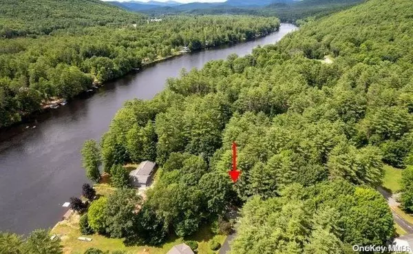 L20 White Birch DR, Call Listing Agent, NY 12846