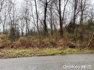 Maple RD, Mastic Beach, NY 11951