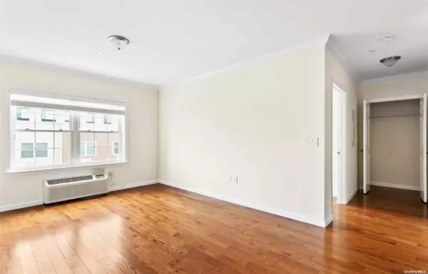 New Rochelle, NY 10801,48 Burling Lane #315