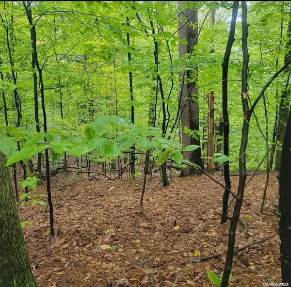 Kerhonkson, NY 12446,N Decter DR