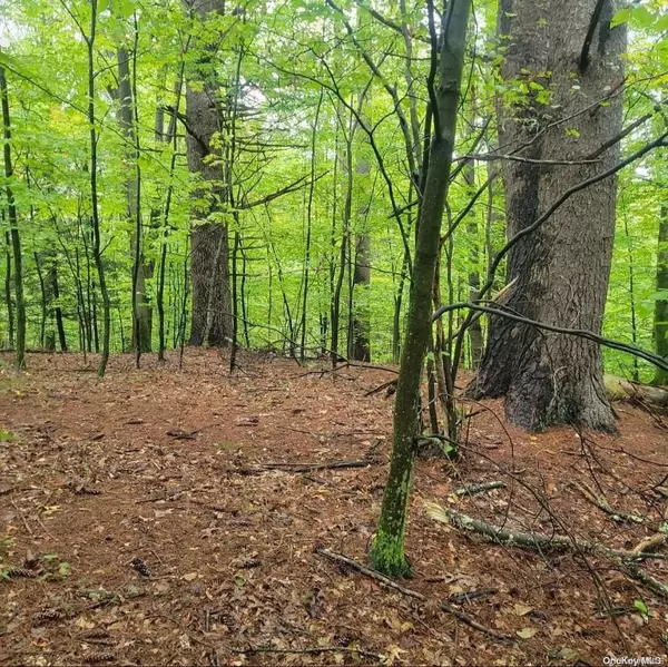 Kerhonkson, NY 12446,N Decter DR