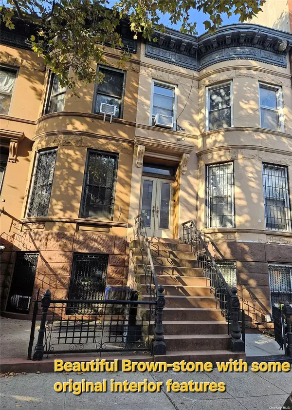 Bedford-stuyvesant, NY 11233,707 Macon ST