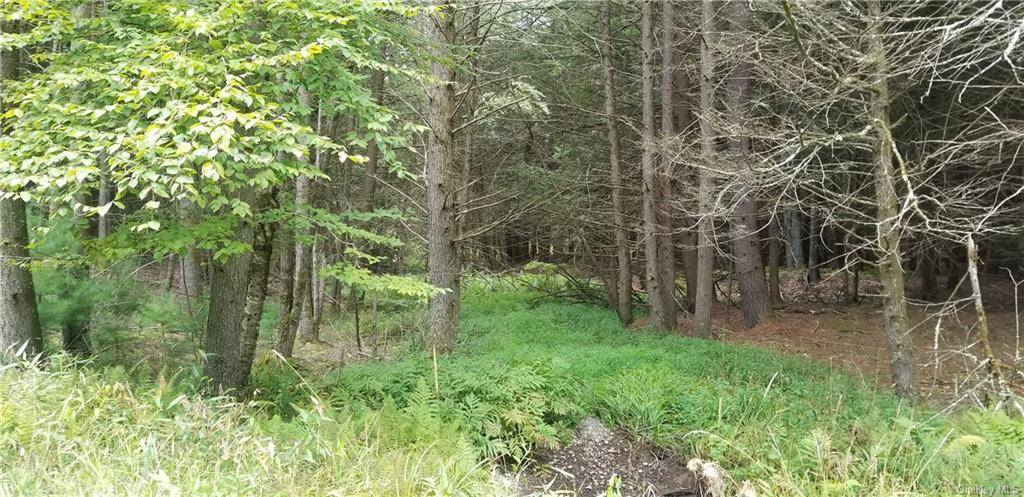 Lot #18 Bear Run RD, Narrowsburg, NY 12764