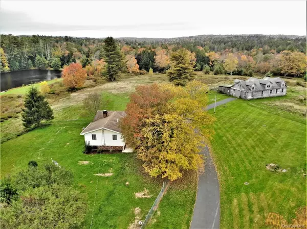 Harris, NY 12742,232 Harris RD