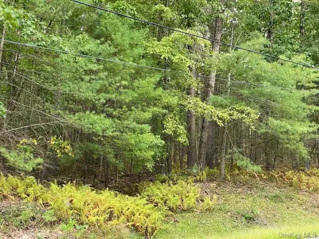 Glen Spey, NY 12737,Lot 18.5 Geba DR