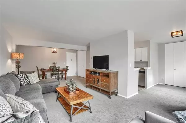 Mount Kisco, NY 10549,77 Carpenter AVE #2C