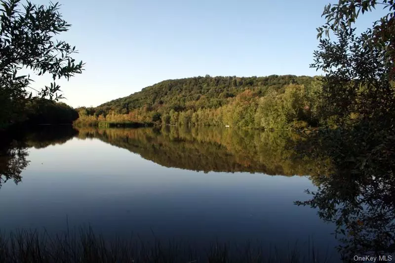 Jeffersonville, NY 12748,Blackberry Lake RD