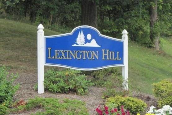 8 Lexington HL #9, Harriman, NY 10926