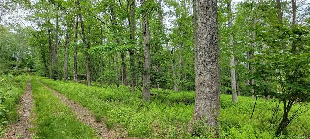 Lot 192 Lake Country LN, Narrowsburg, NY 12764