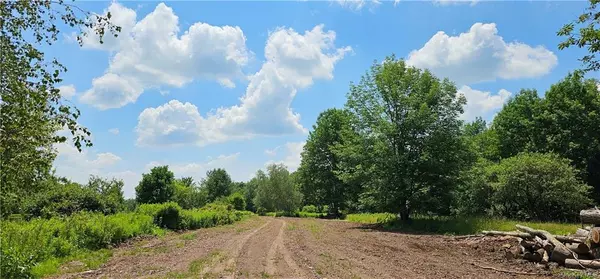 Cochecton, NY 12726,Lot 81.4 County Road 114