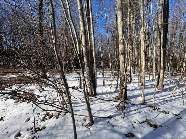 Loch Sheldrake, NY 12759,Lot 6.2 W State Route 52