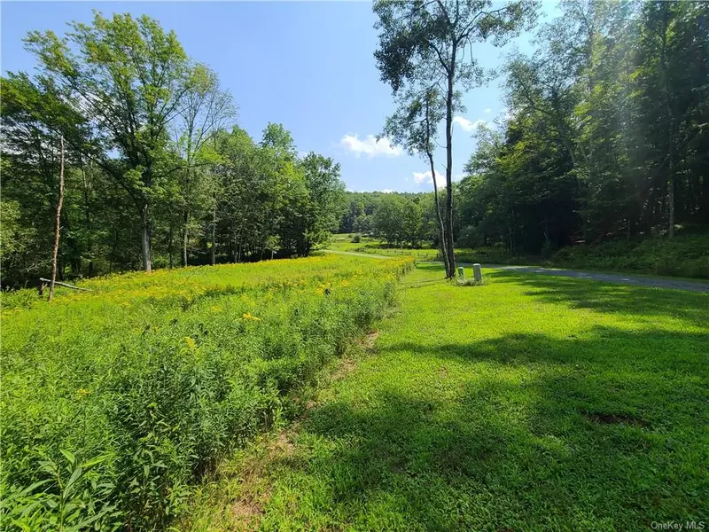 Lot 18 Andie LN, Bethel, NY 12720