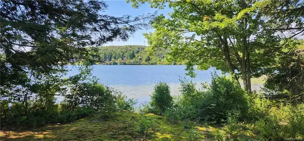 Loch Sheldrake, NY 12759,13 Aster RD