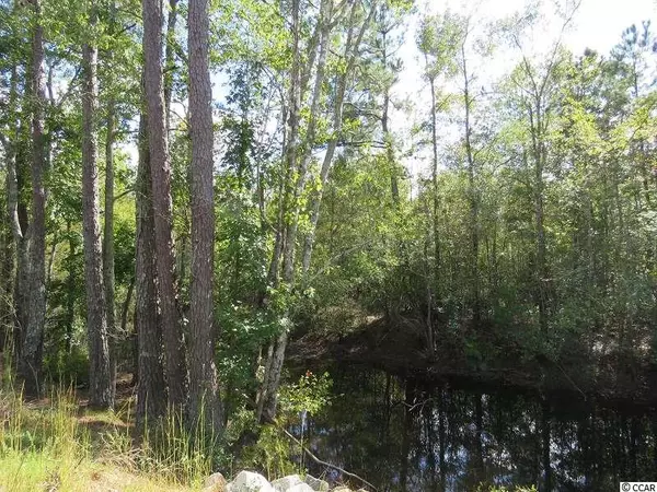 Delco, NC 28436,Tract 2 Swimming Hole Rd.