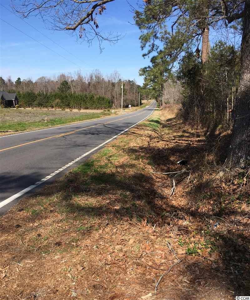 Lot 4B Evans Branch Court, Galivants Ferry, SC 29544